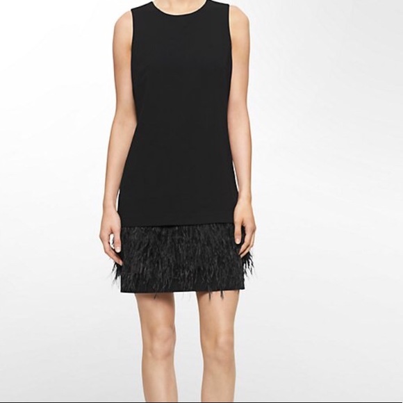 black dress with feathers on bottom
